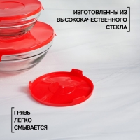 Набор стеклянных салатников Доляна «Классика» с крышками, 5 предметов: 900 мл (17×7,6 см), 500 мл (16×6 см), 350 мл (12,5×5,4 см), 200 мл (10,5×4,5 см), 130 мл (9×3,7 см), цвет красный