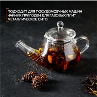Чайник стеклянный заварочный с металлическим ситом «Дамбо», 100 мл